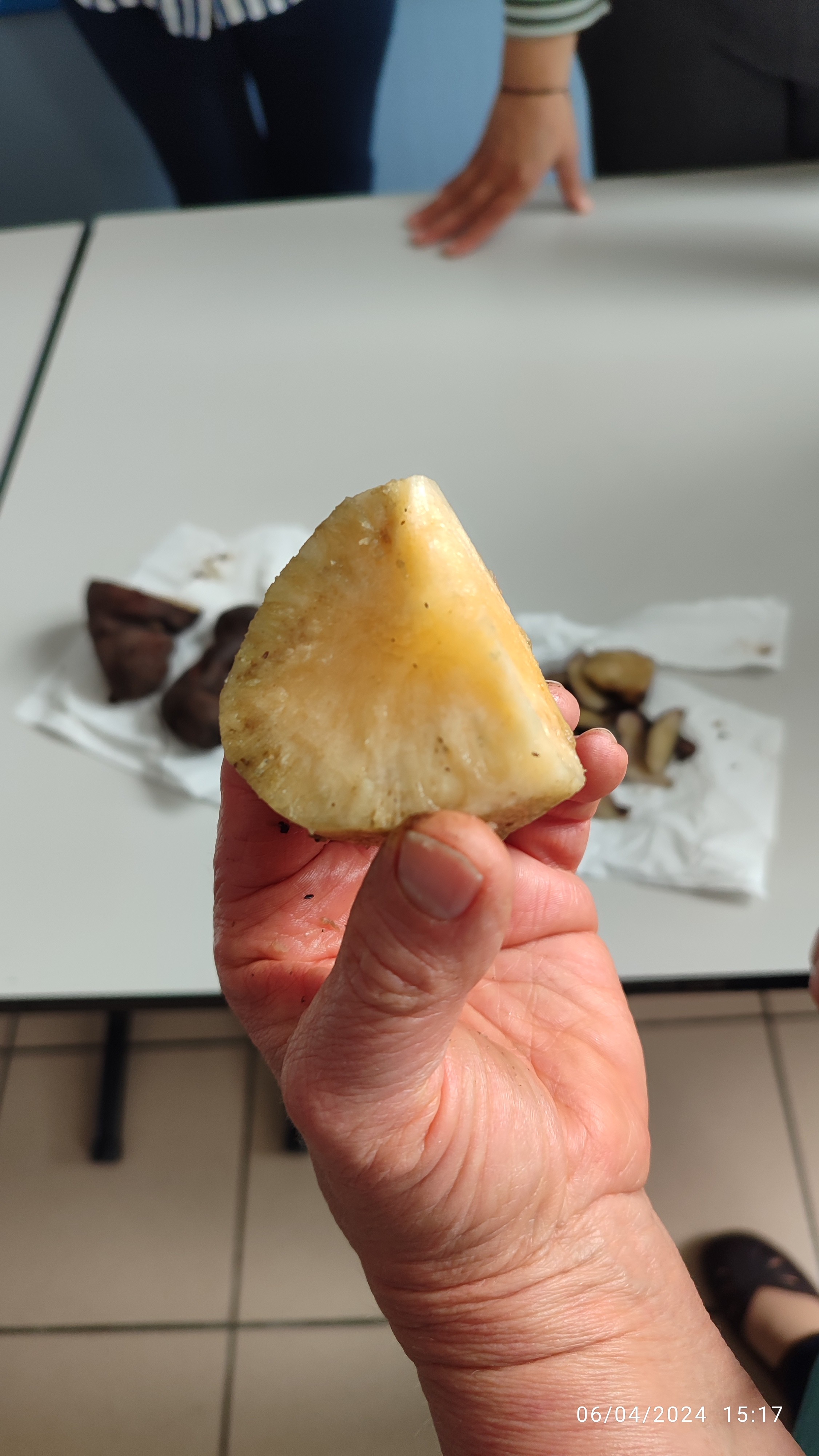 Dégustation de la poire de terre.......crue
