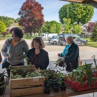 Françoise, Michelle et Joèle au rdv