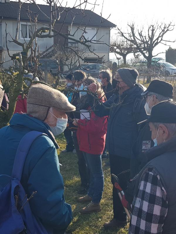 Atelier Mise en forme de Pommiers du 29 Janvier Mr et Mme Nerrand