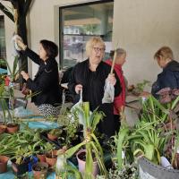 4 Mai 2025 Troc aux Plantes à Vourey