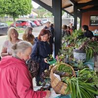 4 Mai 2025 Troc aux Plantes à Vourey
