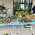 Troc aux Plantes