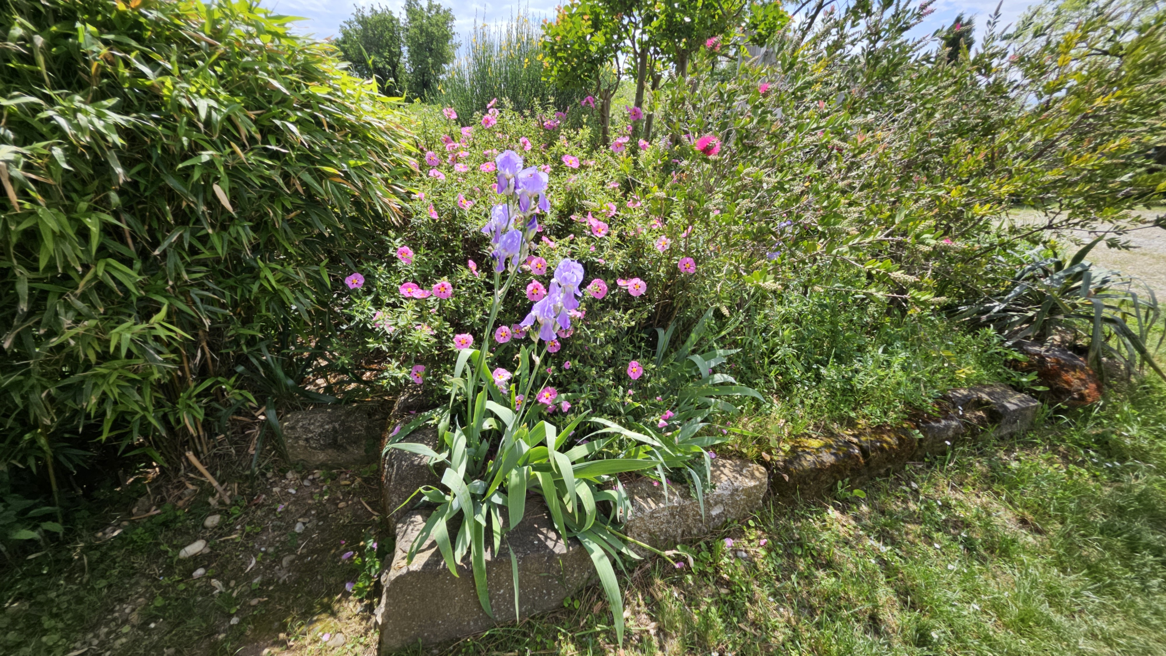 JardinZen
