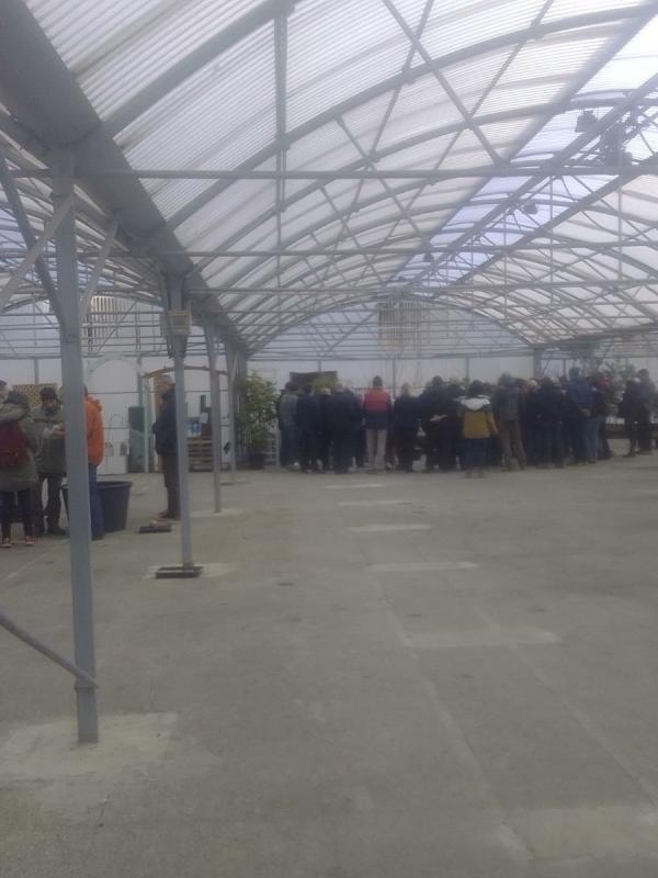 Taille fruitiers aux pépinières Vincent 10/02/2024