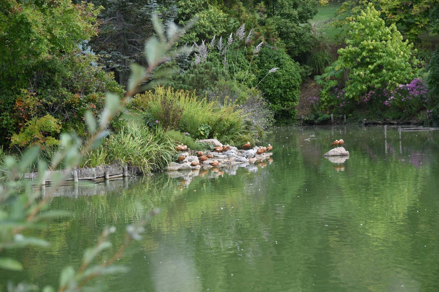 vernioz