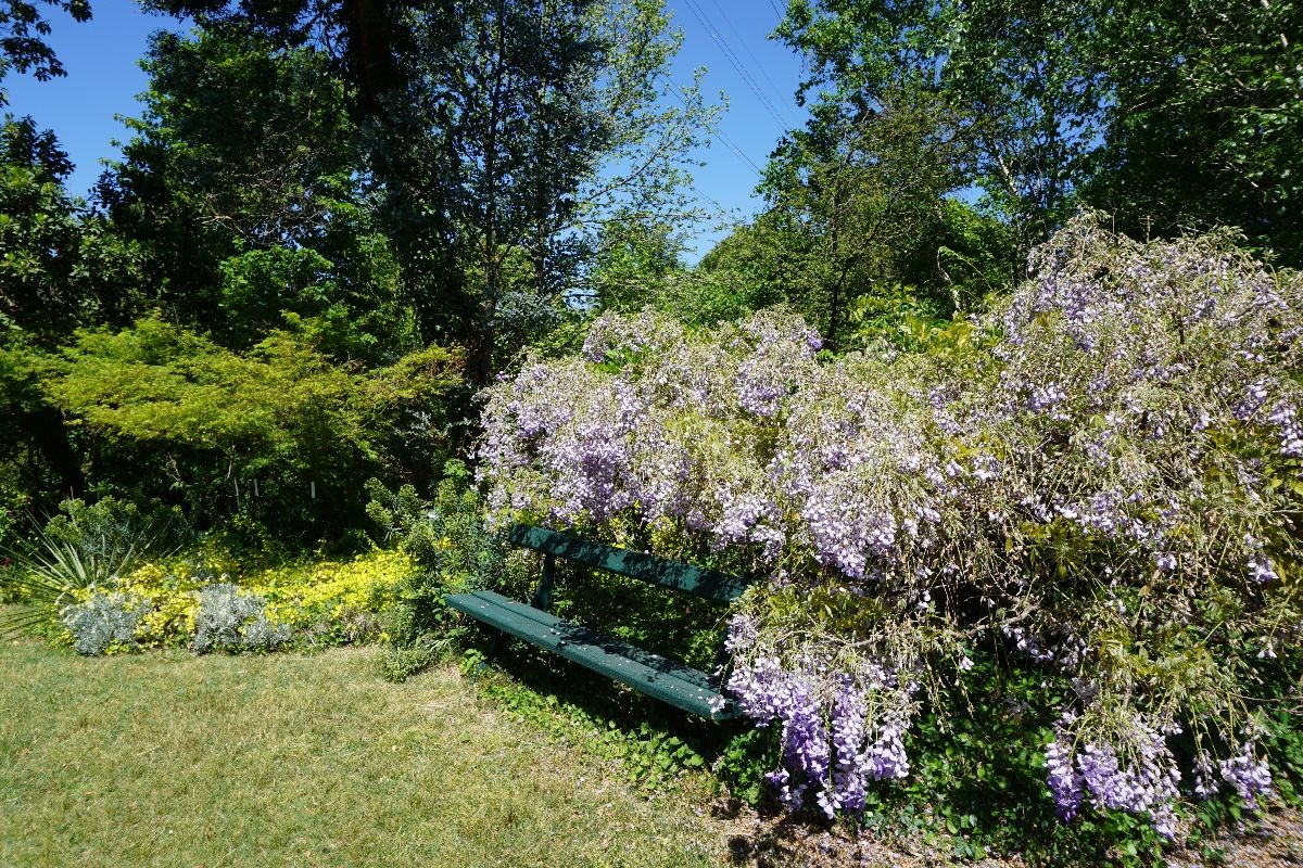Dsc09901
