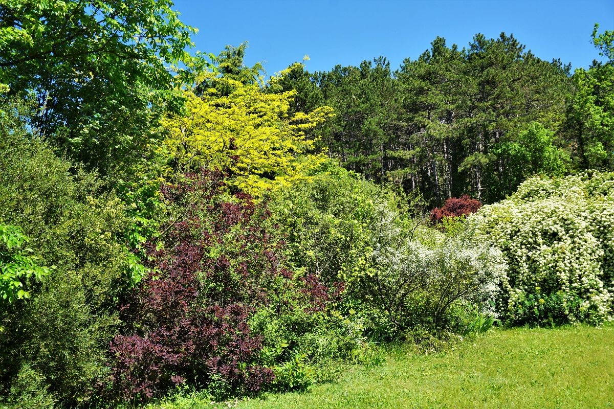 Dsc09925