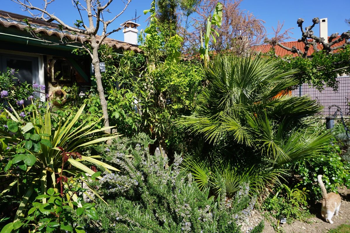 Dsc09974