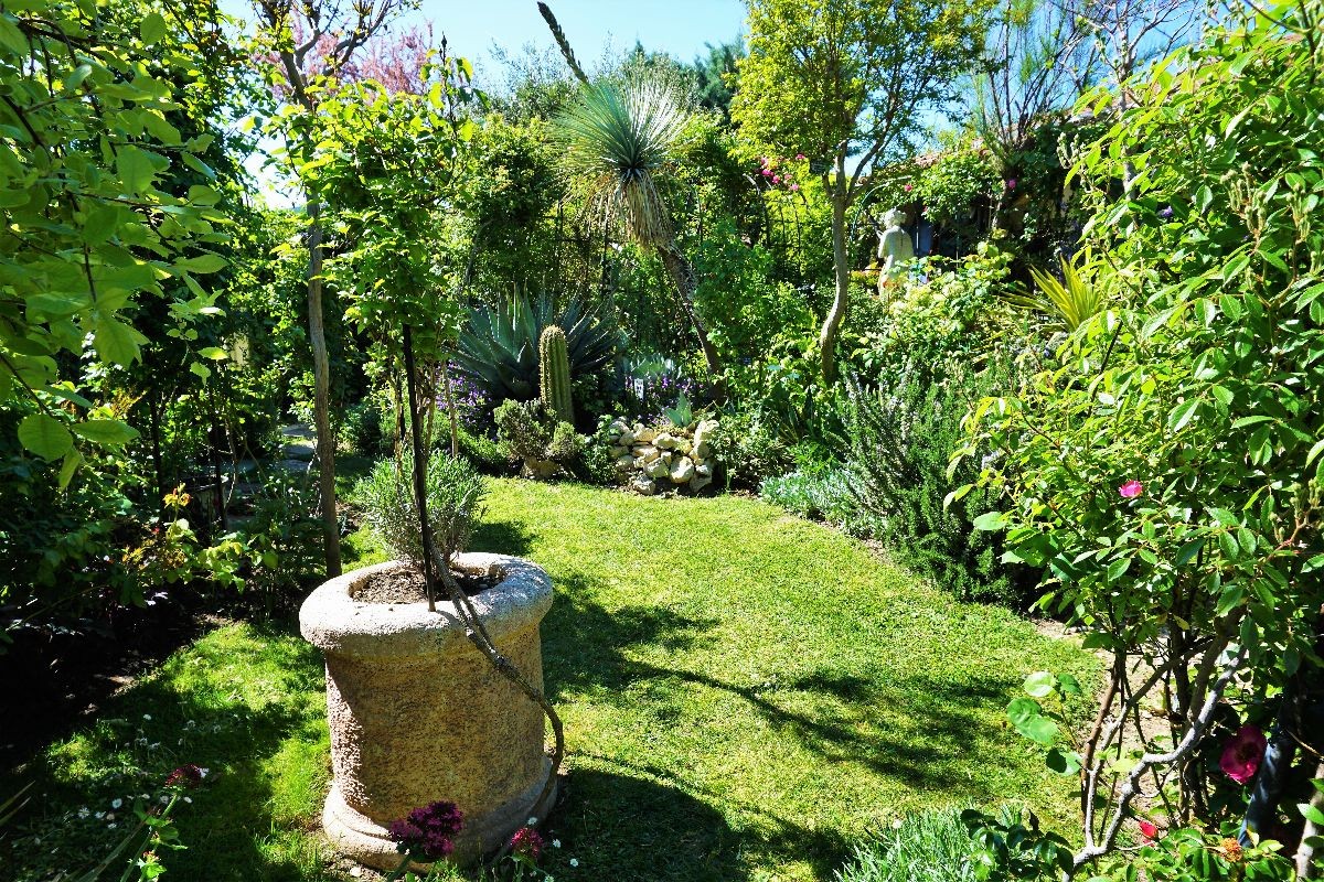 Dsc09975