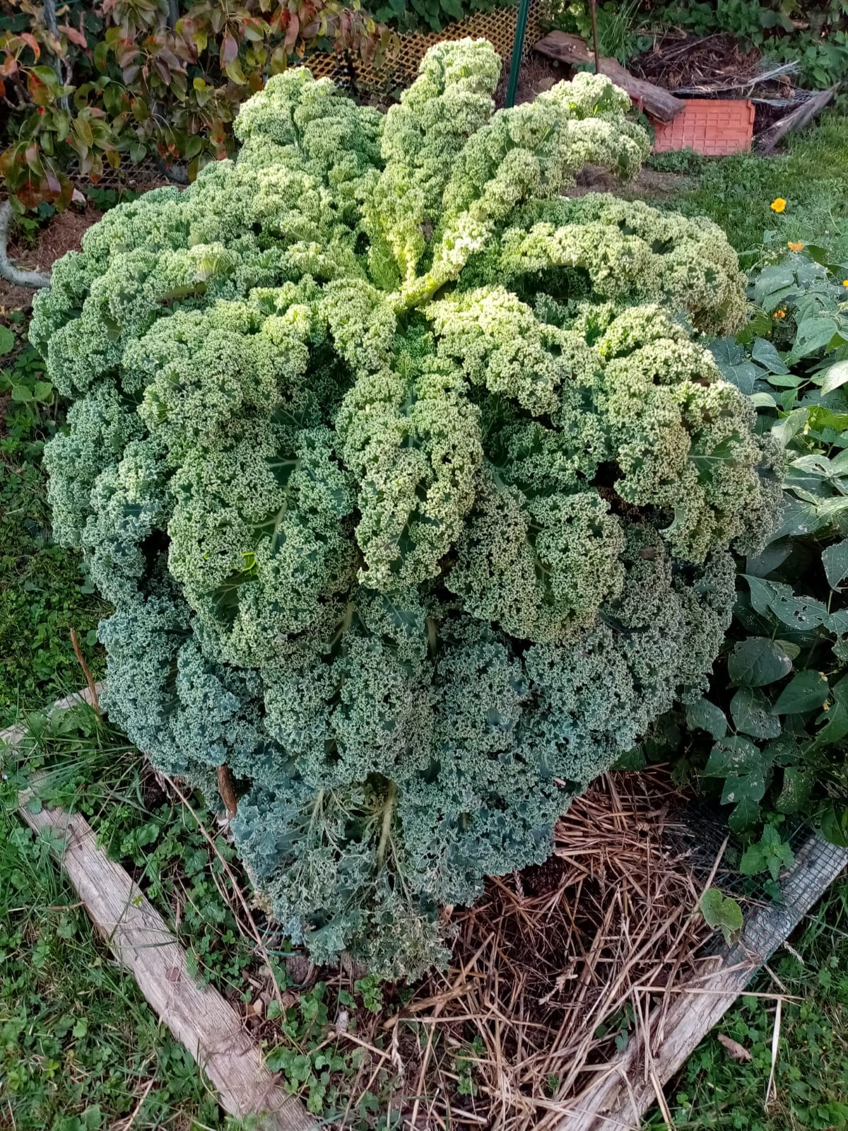 Img 20211003 wa0002