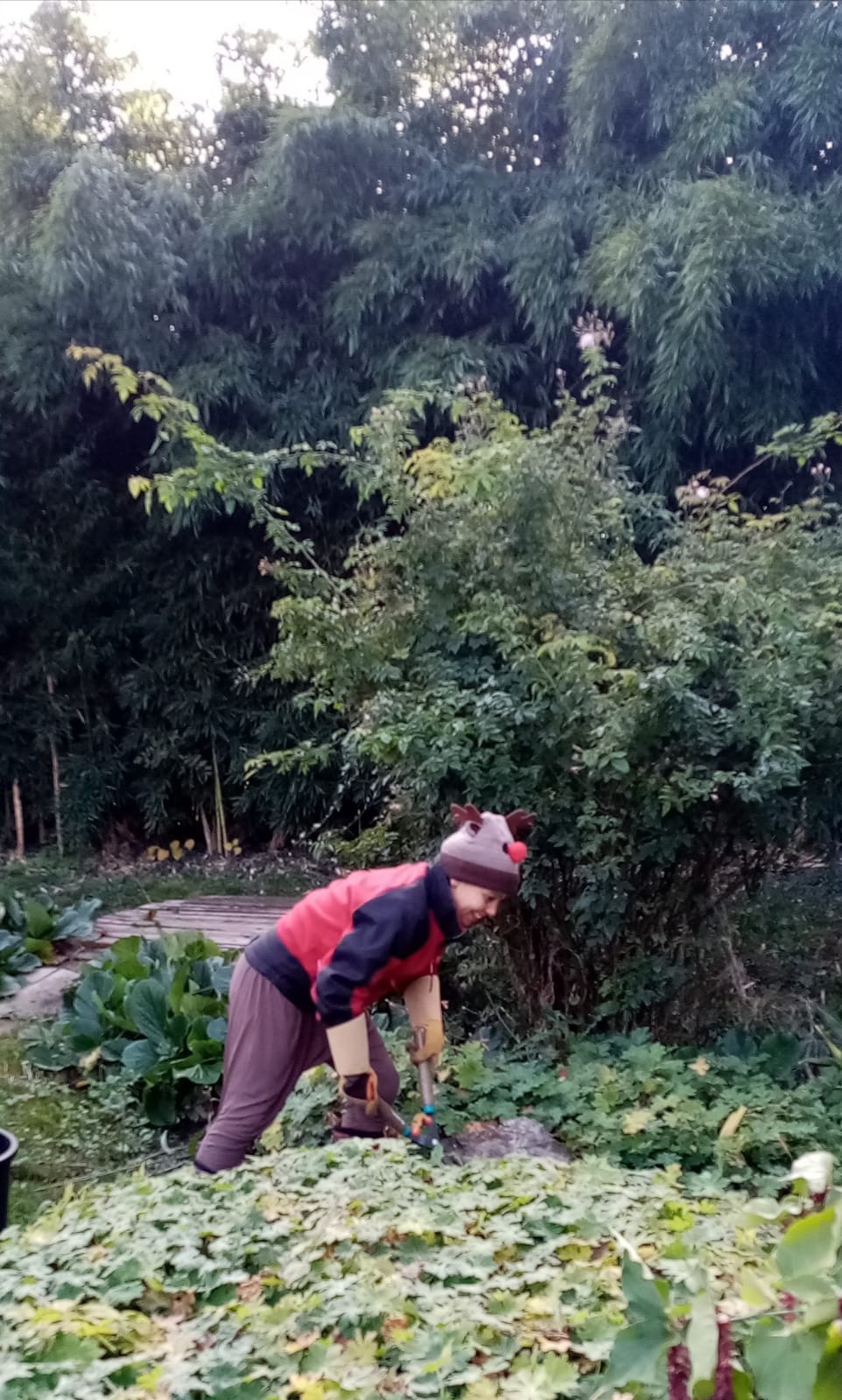 Img 20221126 wa0002