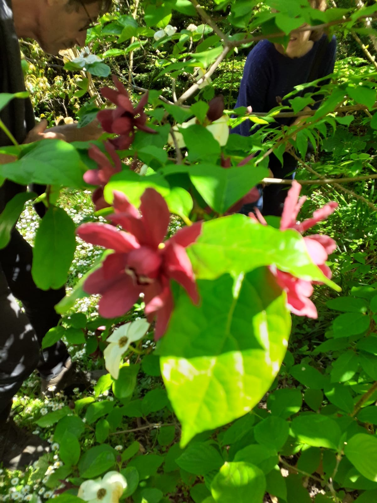 Img 20230504 wa0085