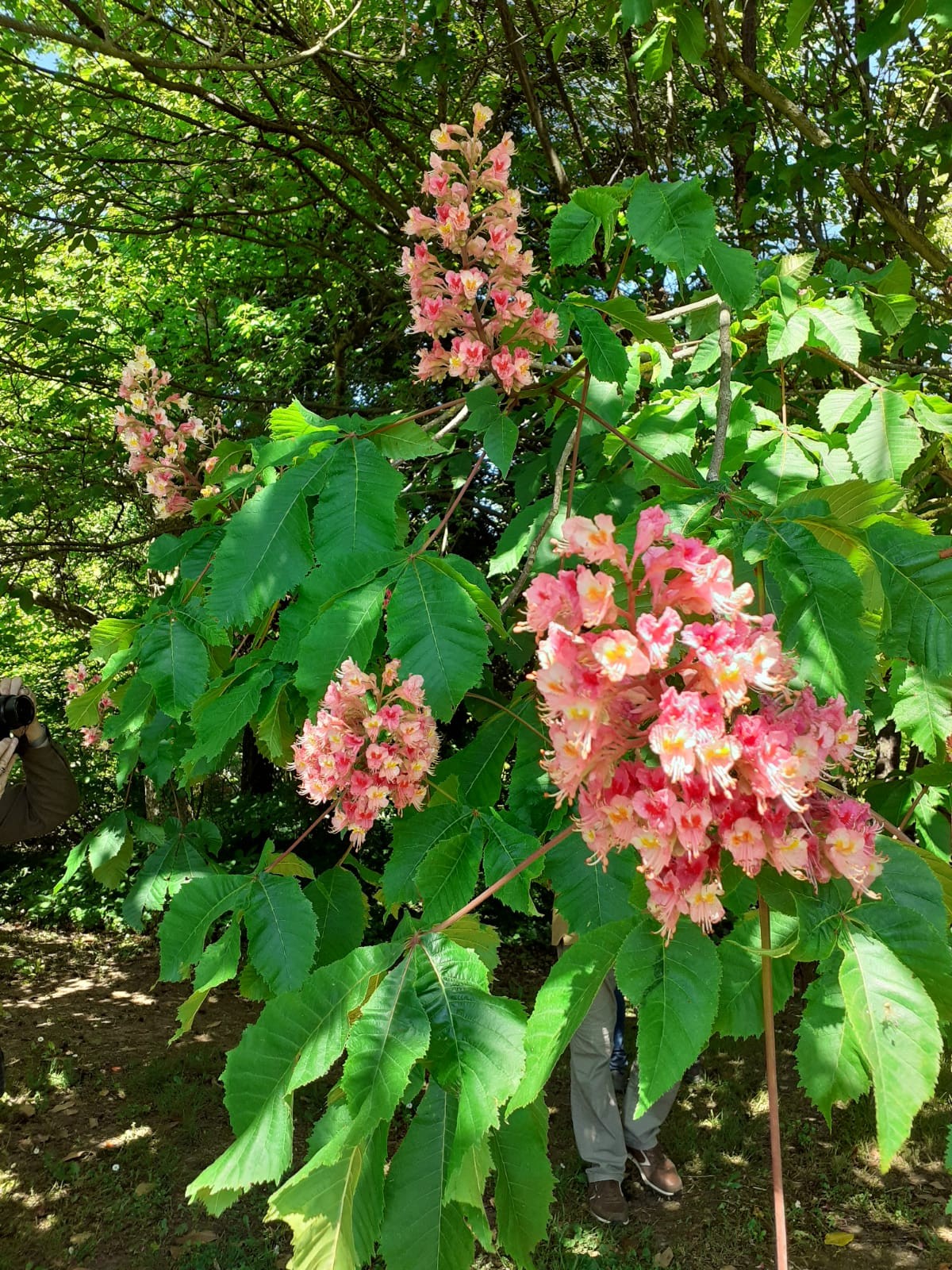 Img 20230504 wa0091