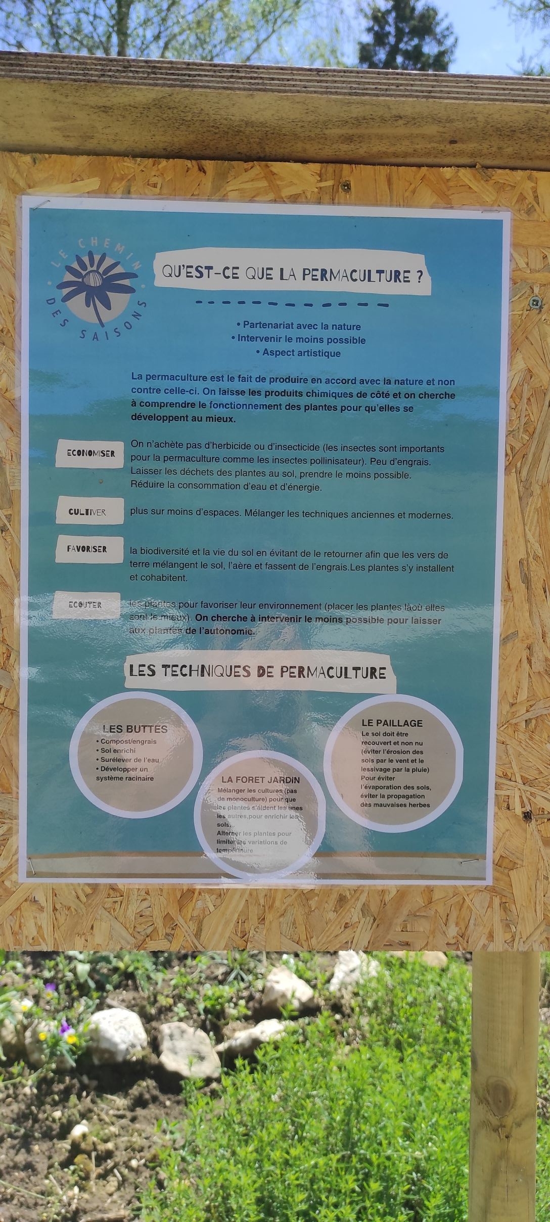 Img 20230624 115251 1