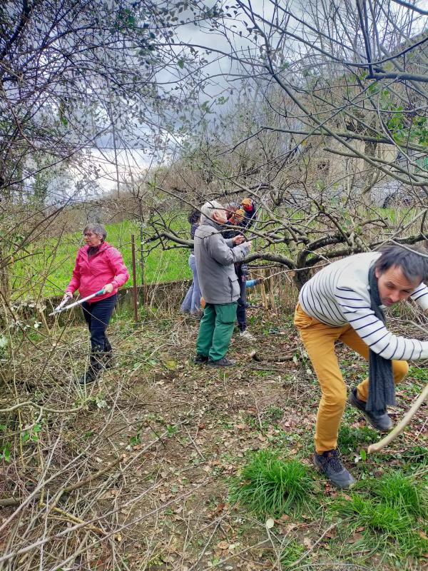 Atelier taille des fruitiers chez Françoise le 2/03/2024