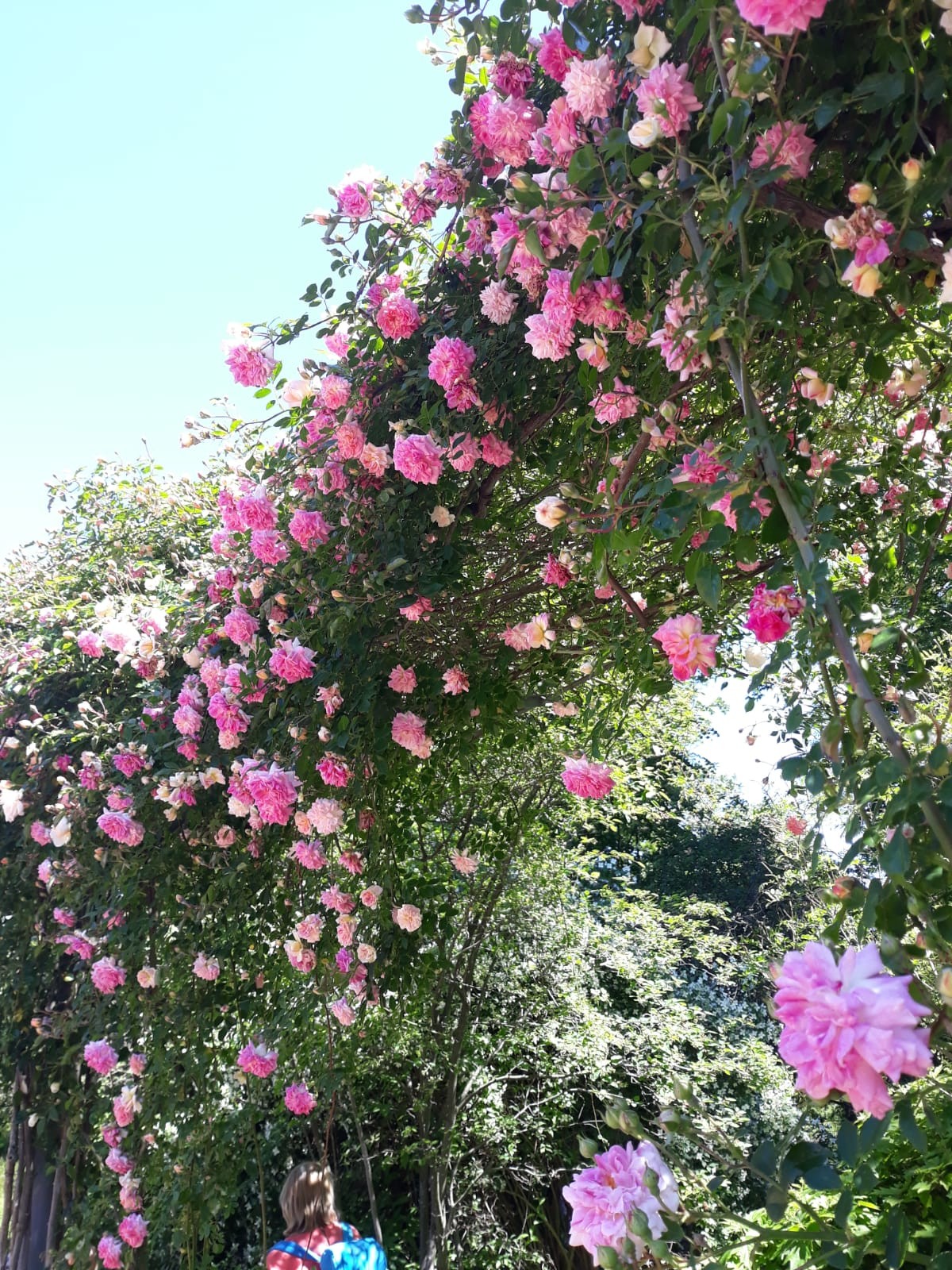 Img 20240511 wa0024