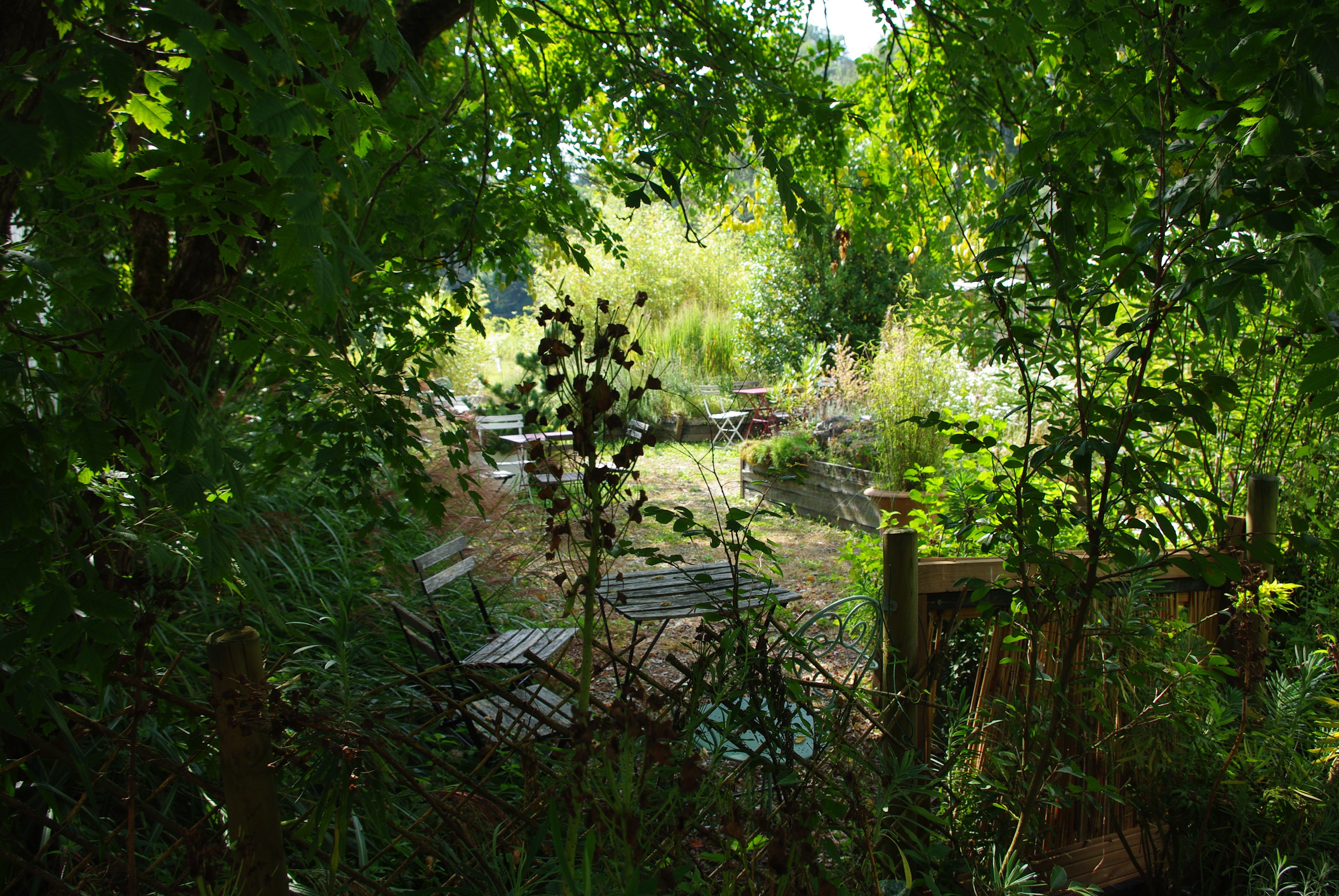 Imgp8455
