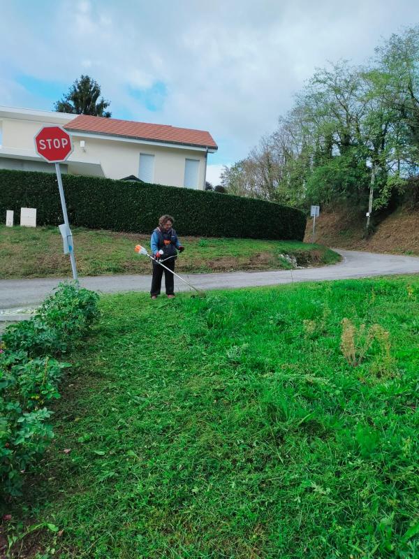 Atelier taille rosier/plantation bulbes au 