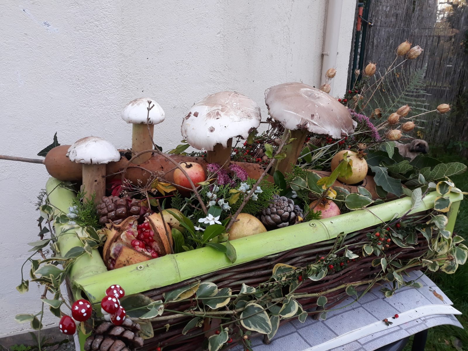 Reaumont presentation florale12 1