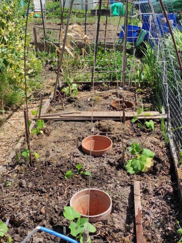 Création d'un potager vertical pour petits espaces chez Joele 11/06/22
