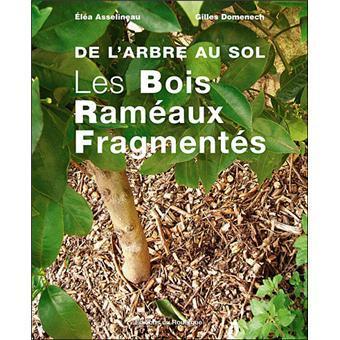 De l arbre au sol les bois rameaux fragmentes