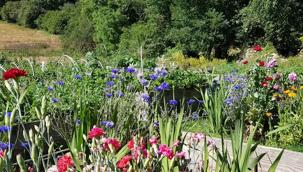 Jardin de gilles leblais