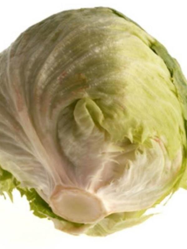 LaitueIcebreg