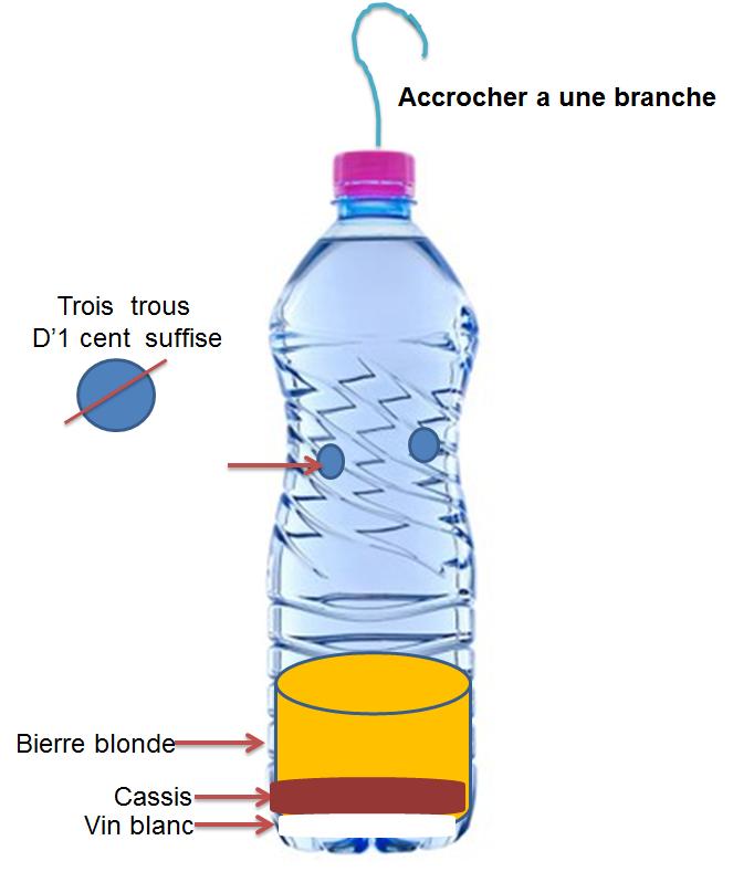 Piegefrelon