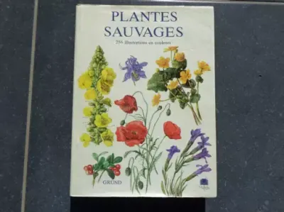Plantes sauvages grund