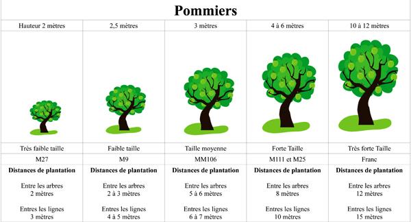 Pommiers 1