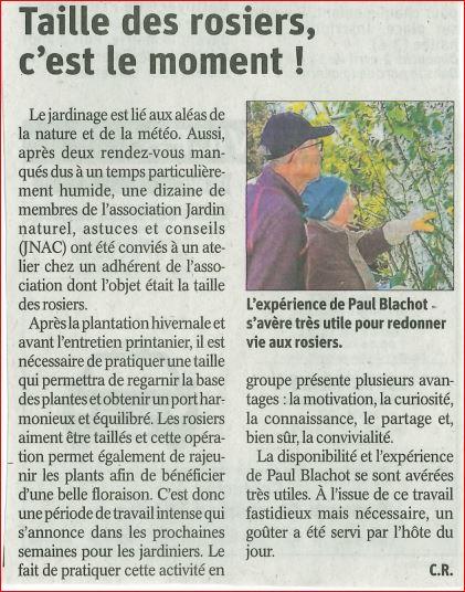 Taille des rosiers c est le moment